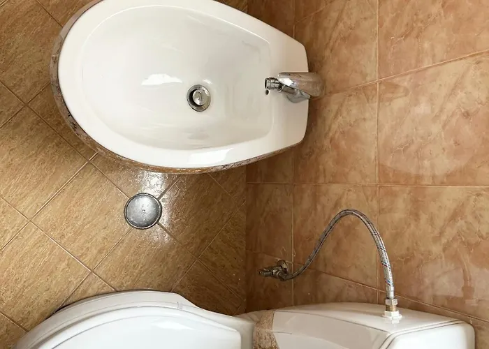 Апартаменты Roses *